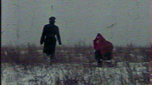 Метаморфоза Bild 2