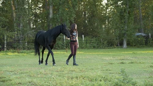 Flicka 3 - Beste Freunde Bild 6