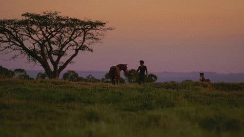 Nosso Tipo Inesquecível Bild 3