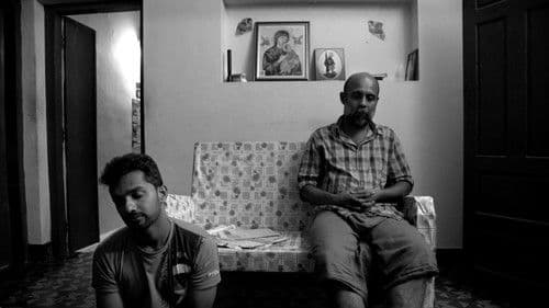 വിത്ത് Bild 1