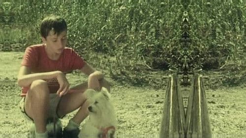 Egreta de fildeș Bild 1