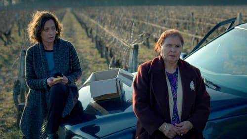 D'une pierre deux coups Bild 3