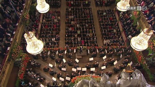 Neujahrskonzert der Wiener Philharmoniker 2011 Bild 1
