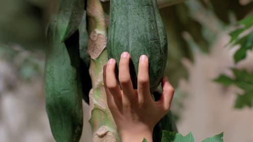 Der Duft der grünen Papaya Bild 4