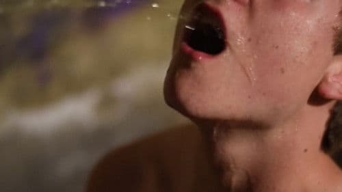 The Meaning of It All Bild 2