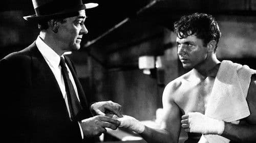 World in My Corner Bild 1