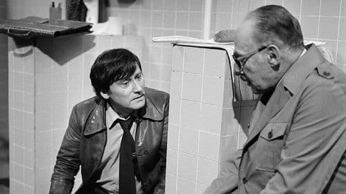 Vdova po dvou mužích Bild 2