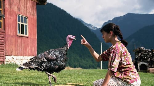 Lost and Found Bild 1