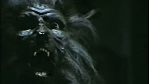 Rocco, ang batang bato Bild 1