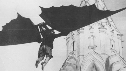 Крылья холопа Bild 4