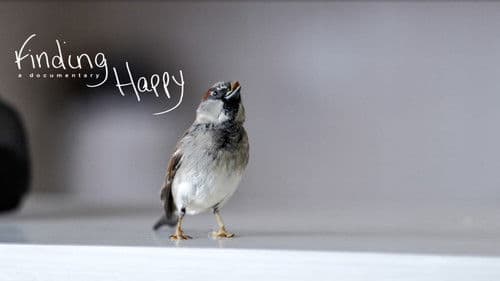 Finding Happy Bild 1