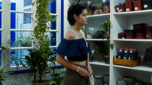 Flores da Primavera Bild 1