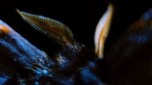 When We Encounter the World Bild 1