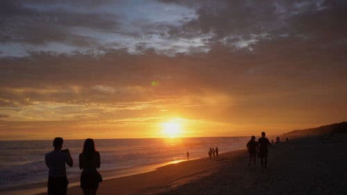 Return: Salvando a las Tortugas Bild 4