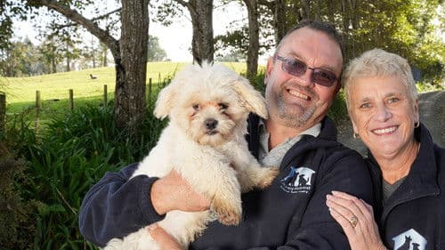 The Dog House NZ Bild 1