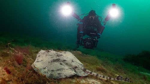 Die wilde Nordsee Bild 3