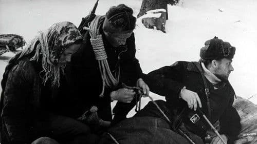 Błękitny krzyż Bild 6