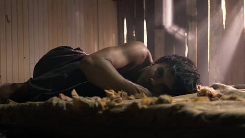 Noites Alienígenas Bild 2