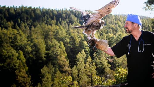 The Wild Life of Dr. Ole Bild 5