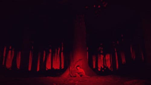 Hvor træerne blokerer for lyset Bild 2