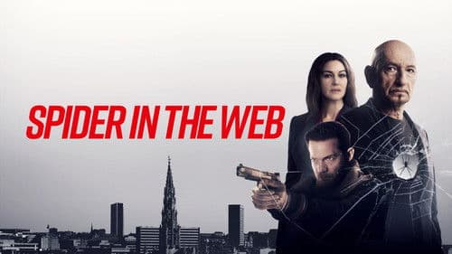 Spider In The Web Bild 4