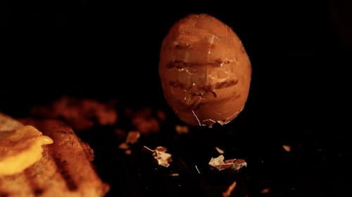 28 Eggs Later Bild 2