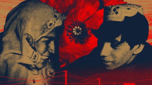 دری سندری د بینظیر لپاره Bild 2