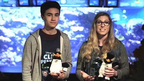 Island Insider Bild 6