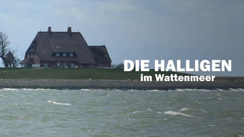 Die Halligen im Wattenmeer Bild 3