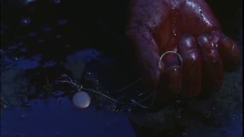 夜がまた来る Bild 4