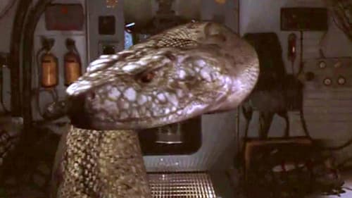 New Alcatraz - Das Grauen aus dem Eis Bild 1