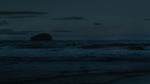 Shapes of Days Bild 1