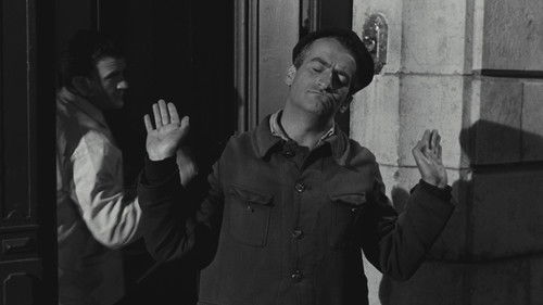 Fisch oder Fleisch Bild 6