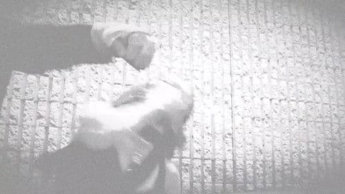 Trapped In Sight Bild 8