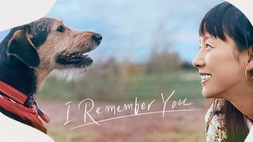 캐나다 체크인 Bild 1