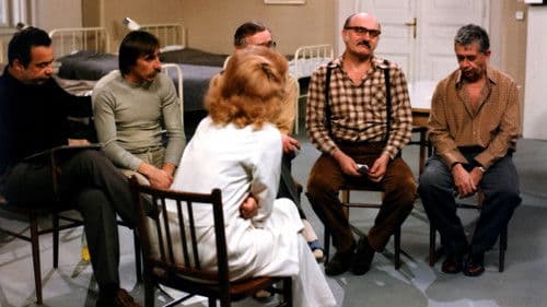 Tažní ptáci Bild 3