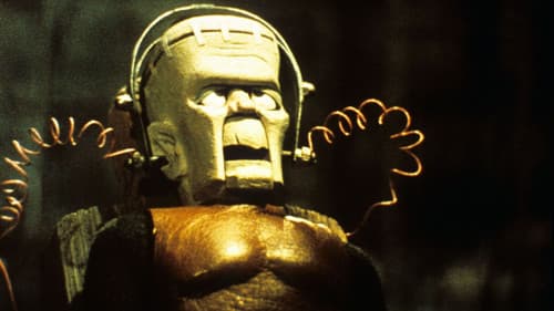 Frankensteins Monster-Party Bild 1