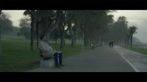 Bir An Sonra Tıpkı Bir Düş Gibi Bild 7