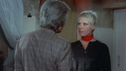 Las ratas no duermen de noche Bild 1