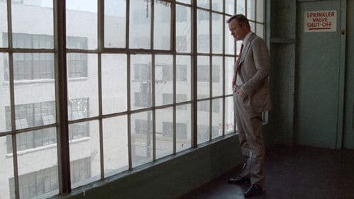 Rettet den Tiger! Bild 7