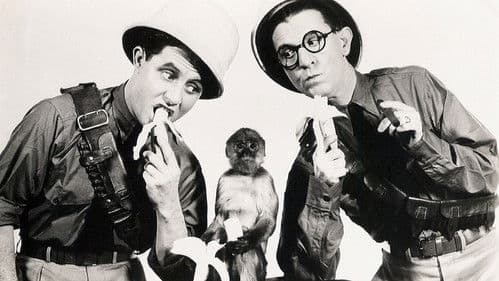 So This Is Africa Bild 4