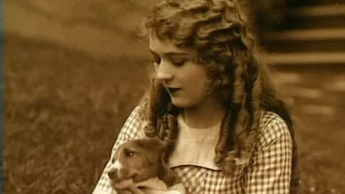 Mary Pickford: A Life on Film Bild 1