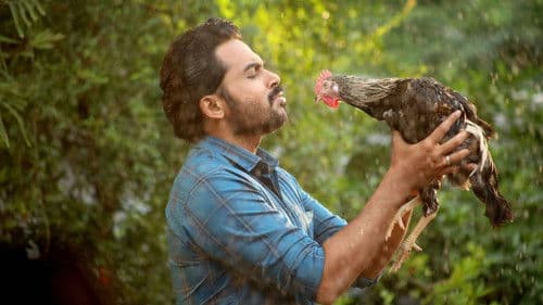 சுல்தான் Bild 7