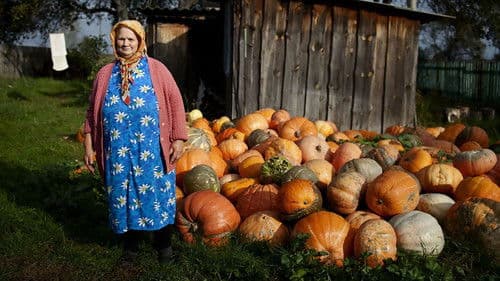 The Babushkas of Chernobyl Bild 1