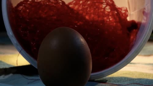28 Eggs Later Bild 5