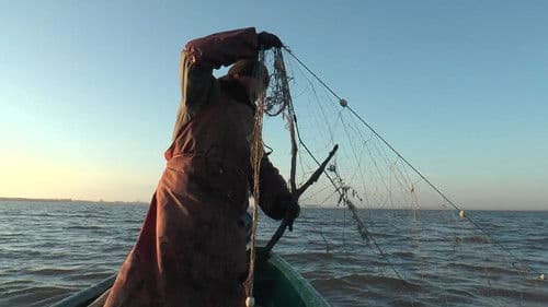 Dialoguri de baltă Bild 2