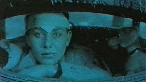 Bilder der Befreiung Bild 1