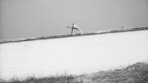 Abbasso Il Zio Bild 1