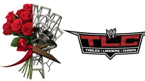 WWE TLC: Tables, Ladders & Chairs 2013 Bild 2