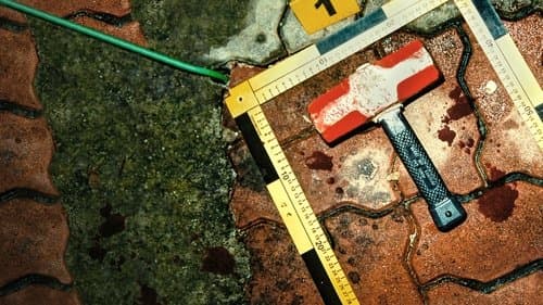 Der Regenmantel-Killer: Mörderjagd in Korea Bild 1